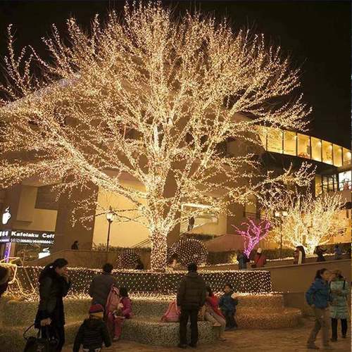 PXW马LED灯串低亚压变压器火箭泡小灯串圣诞节日庭院逊装饰钻石彩