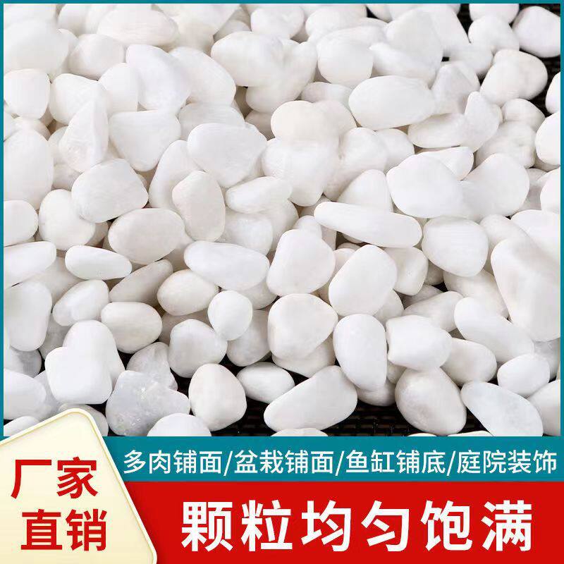 天然鹅卵石白色石子多肉造景装饰铺路装饰白色小石头透水地坪