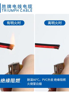 UL246线8黑8排线10SOCA红WG~28AWG246PVC红黑平行灯具灯饰双排线