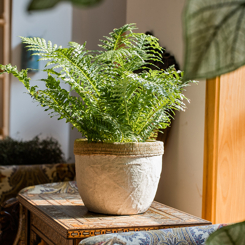 掬涵仿藤编布纹水泥花盆器皿大号广口碗花园庭院做旧艺术陈设装饰