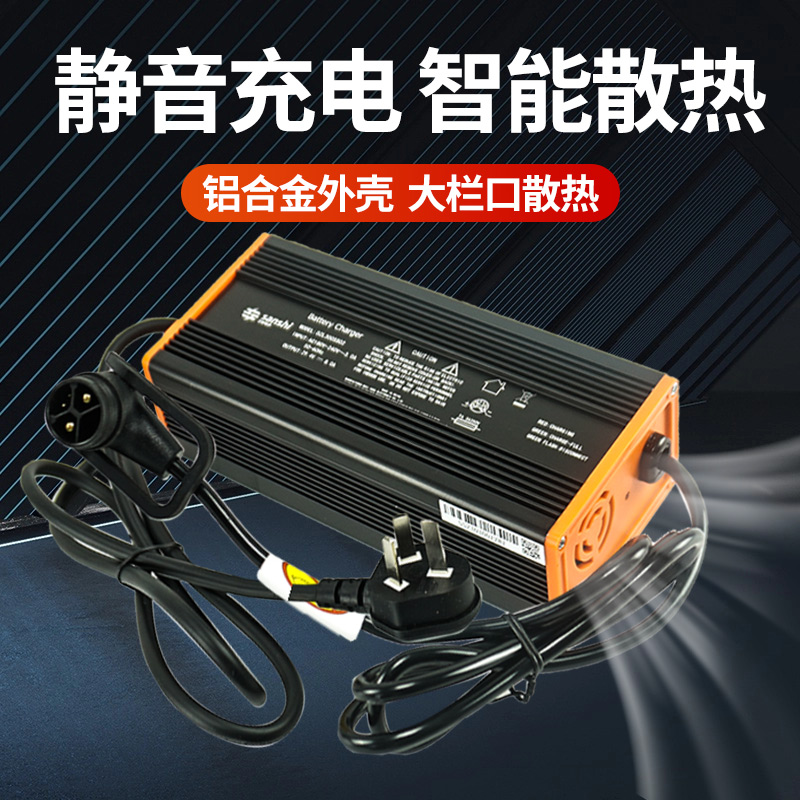 电动堆高机配件充电器诺力天罡20锂电池充电机(5.V/9)DZL0SS02