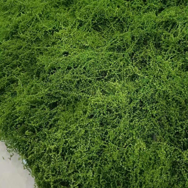 仿真青苔藓草皮假苔藓仿真草坪仿真绿植物墙装饰橱窗墙面景观盆景