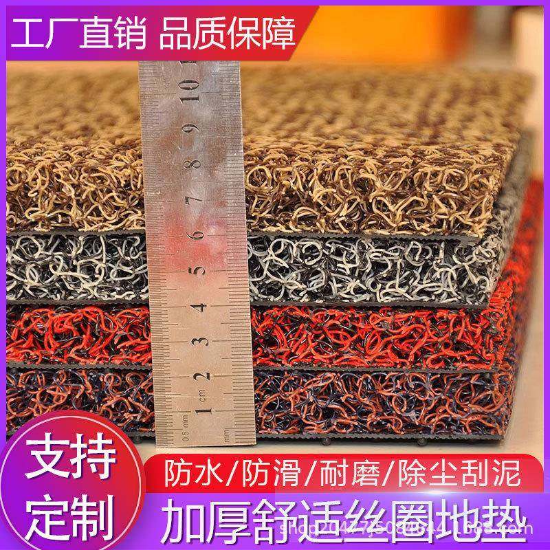 地垫入户门丝圈脚垫门垫进门门口门外可裁剪防滑加厚塑料地毯耐脏