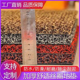 地垫入户门丝圈脚垫门垫进门门口门外可裁剪防滑加厚塑料地毯耐脏