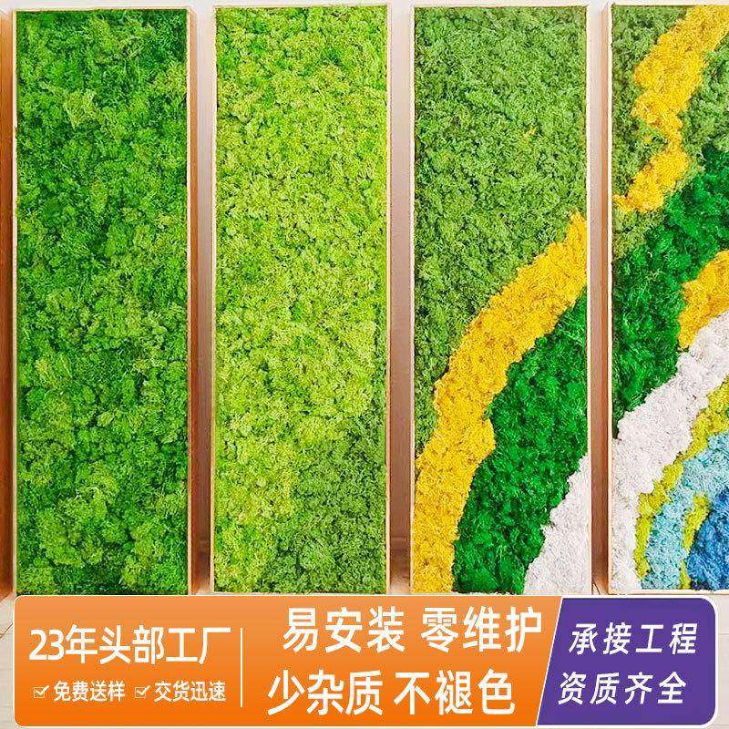 永生苔藓驯鹿芯苔藓盒装假绿植青苔苔藓墙室内装饰仿真苔藓,3C数码配件,其它配件,淘宝优惠券,粉丝福利购,淘宝优惠卷