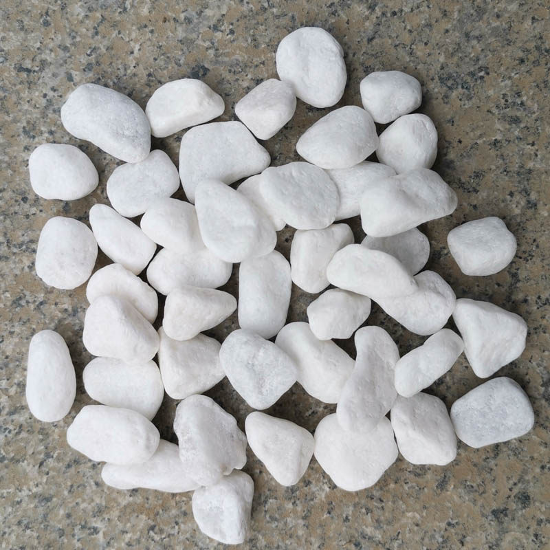 荷塘泥碗莲睡莲专用塘泥大包包邮荷花泥淤泥河泥水生植物营养泥土