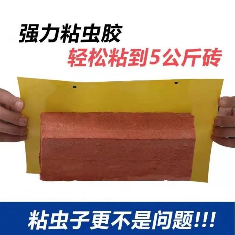 黄板双面粘虫板诱虫纸贴黄色飞虫小黑飞沾果蝇诱捕器粘板针蜂大棚,鲜花速递/花卉仿真/绿植园艺,其它园艺用品,淘宝优惠券,粉丝福利购,淘宝优惠卷