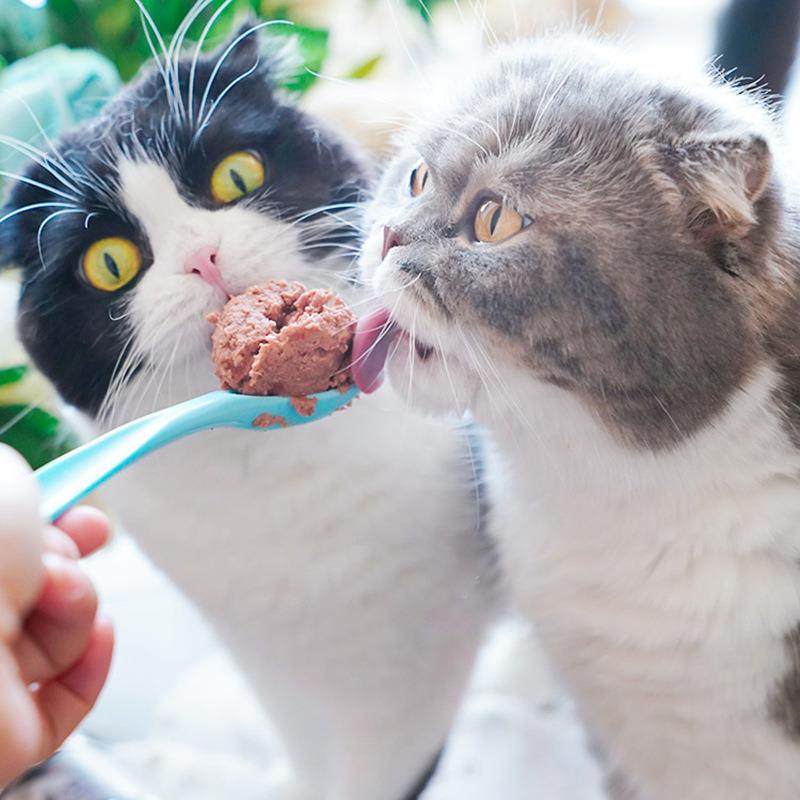 其他ol猫湿粮罐头猫咪小李子e猫o猫罐头包宅d425进口酱主食餐德国,宠物/宠物食品及用品,猫风干零食/肉干/鱼干,淘宝优惠券,粉丝福利购,淘宝优惠卷