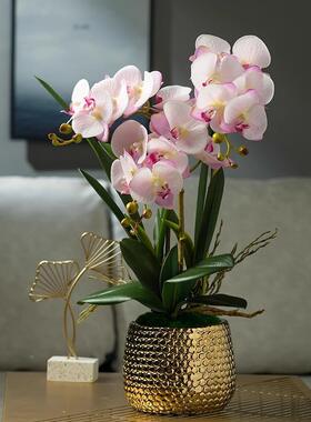 紫色仿花蝴仿蝶兰家居饰摆件客厅室内装真高档生塑料K55Q8bZE假花