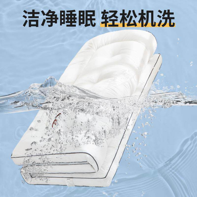 纯色刺绣床垫家卧室出租房软子加厚垫202085防生滑用床褥子宿舍学