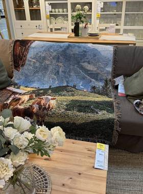 新风景系列挂毯毯休TB685645闲装饰毯毛毯盖毯个性西兰库克山