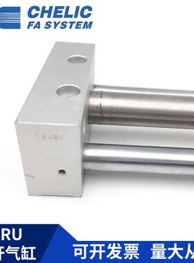 PGGCHE2LICMRU40*100*20*S50*000*400*500-H-D2-A2无杆气缸