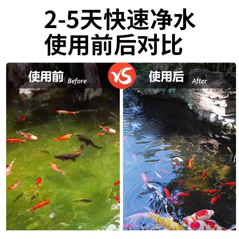新型锦鲤鱼池分滤器滴流盒大型滤盒EVC鱼箱外置滴上过滤干湿离过