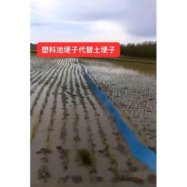 塑料池埂子代替土埂子池埂子PVC水稻水田地分水板挡水板