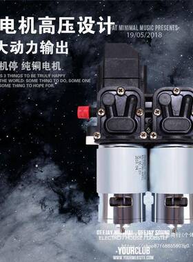 12V洗车ILJ水泵载洗车用机202V家车便携洗车器刷车直销