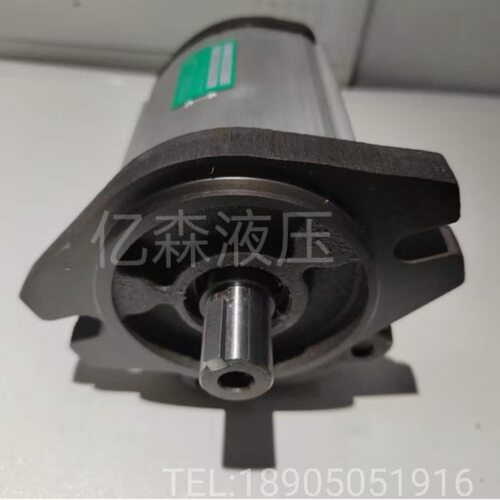 替代RONZIO罗茨齿轮泵01ZAG 01ZCG 02ZCG 02ZBG 03ZAG 03ZBG系列