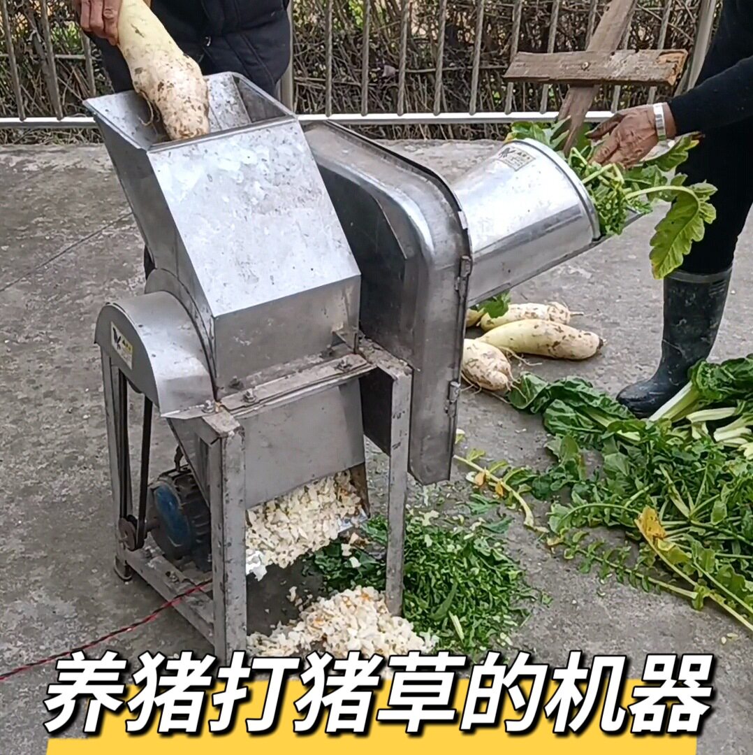 家用养殖切猪草机器 养猪用萝卜瓜果打丁 切猪菜的机器