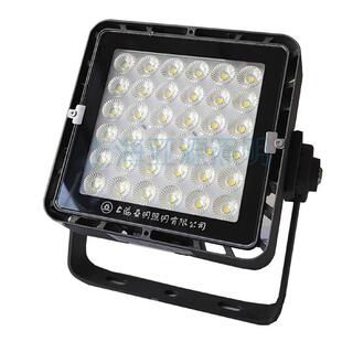 020款 上海亚明亚牌LED投光灯泛4光灯TG10A10W150W200FG10A0W020W