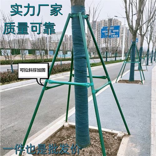树木支撑架烤漆镀锌钢管园林绿化行道乔木支撑杆大树铁抱箍固定器