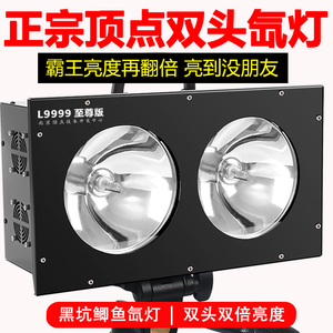 超亮北京顶点大功率双头氙气灯黑坑暖黄强光钓鱼灯氙气灯聚鱼垂钓