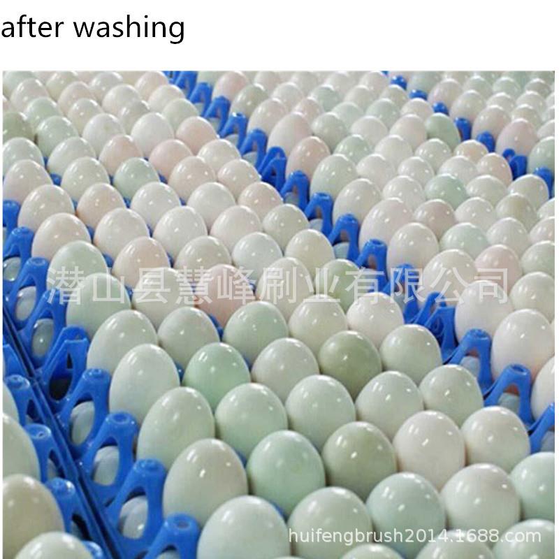 清洗机毛刷辊 尼龙除尘刷辊 果蔬洗蛋机刷辊 工业清扫器刷辊PP