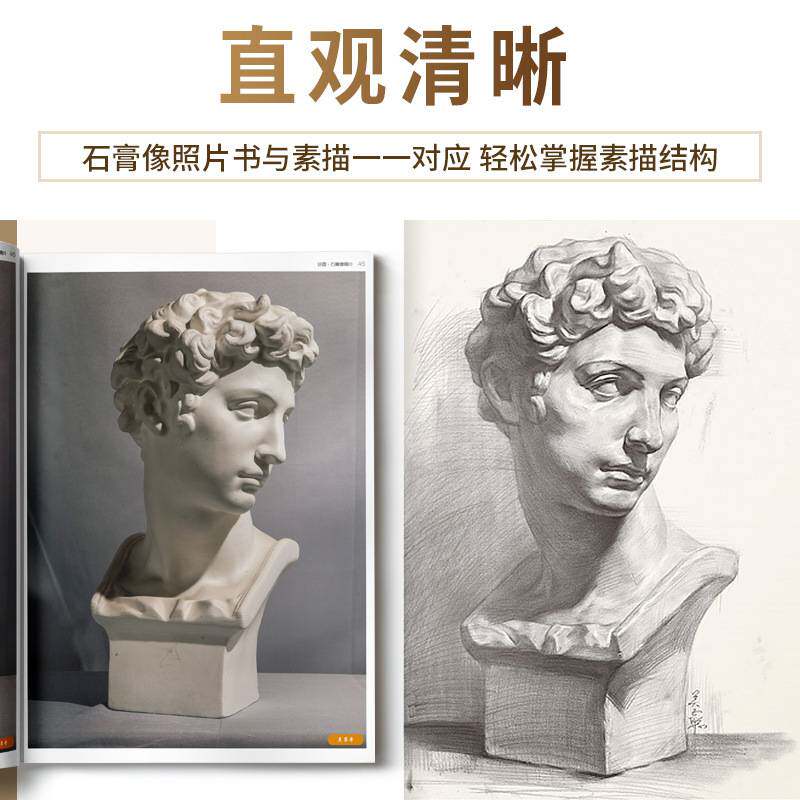讲透素描石膏像2 讲透石膏像照片组合装人物头像五官结构对画临摹