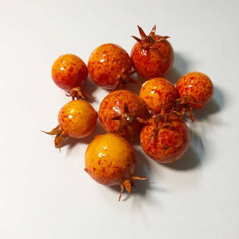 仿真石榴果泡沫圣诞仿真水果中式家居装饰蛋糕装饰仿真石榴插件,玩具/童车/益智/积木/模型,垂直悬浮玩具,淘宝优惠券,粉丝福利购,淘宝优惠卷