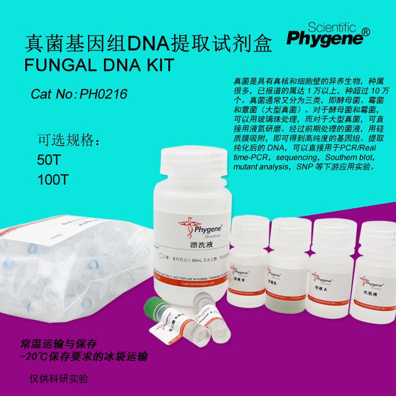 真菌基因组DNA提取试剂盒 Fungal DNA KIT 100T [PH0216 PHYGENE]