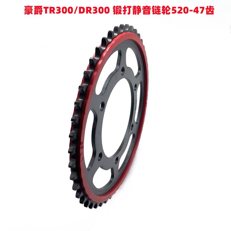 适用TR300 DR300 DR0 XCR300静音链轮大小牙盘链盘征和油封链条