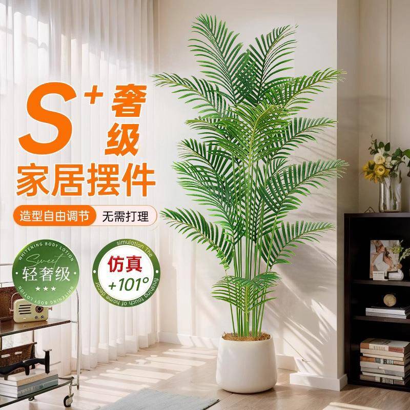 室散盆20250305尾葵仿真绿植花树仿生植物内假装饰摆件客厅栽