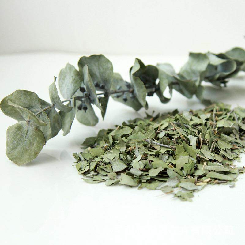 云南尤加利基地直销尤利材叶树叶自然干花香尤加利叶包手工料加桉