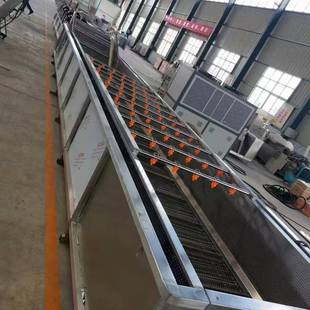 大型多功能果蔬气机泡清洗式 清洗浴XQD设备水果蔬菜清水洗流水线