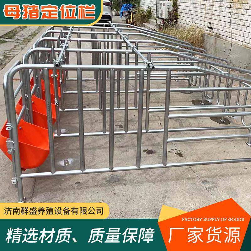 母定猪定位栏位栏限位栏猪圈栏位养猪用复合粪板限母猪漏产床保育