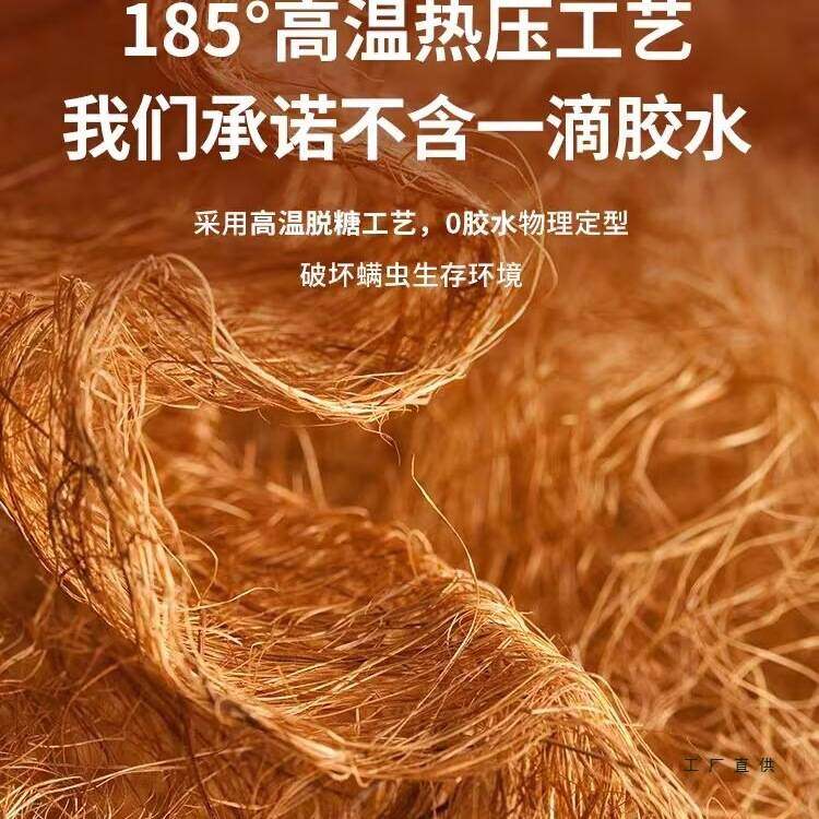 床垫天然椰棕床垫1.5m棕榈垫租房专用环保经济型儿童折叠护腰硬垫,玩具/童车/益智/积木/模型,垂直悬浮玩具,淘宝优惠券,粉丝福利购,淘宝优惠卷