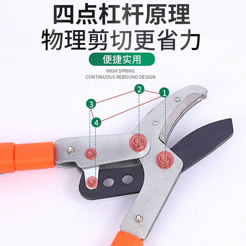 伸缩园艺粗枝剪耐用大力剪果树高枝剪加长省力园林修枝工具