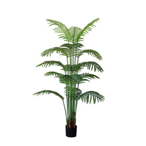 仿HTD-1656真散葵植尾葵盆栽热带植物凤尾竹仿生夏物威夷盆景