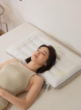 新款A类全棉60VC柠檬肌肤枕学生宿舍家用单人护颈椎枕头枕芯