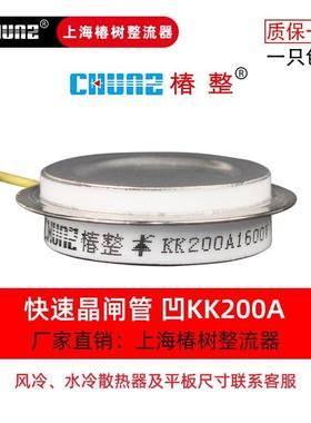 快速晶闸管高频可控硅中平板式42801K1K500AKK00AKK15000A凸频