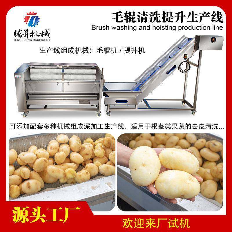 毛辊清洗机去皮提升生产线 全自动土豆脱皮去皮机 红薯芋头毛刷机,鲜花速递/花卉仿真/绿植园艺,割草机/草坪机,淘宝优惠券,粉丝福利购,淘宝优惠卷