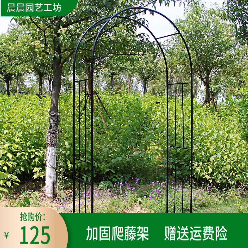 定制新款拱门花架户外花园月季爬藤架子别墅庭院拱形支架爬葡萄架图片
