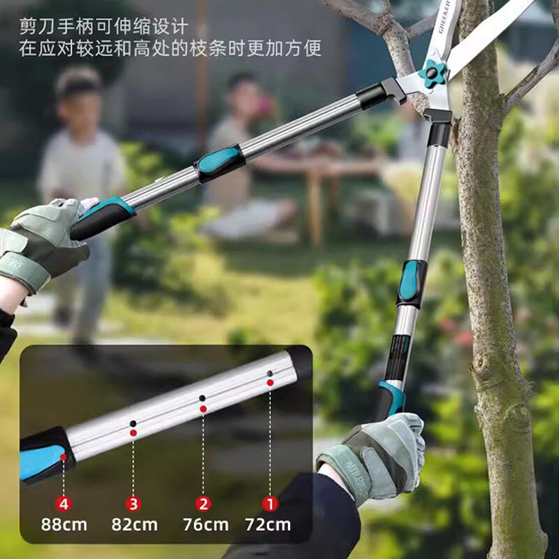 园艺大剪刀草坪绿篱园林绿化苗木省力修剪神器水果树高处树枝专用