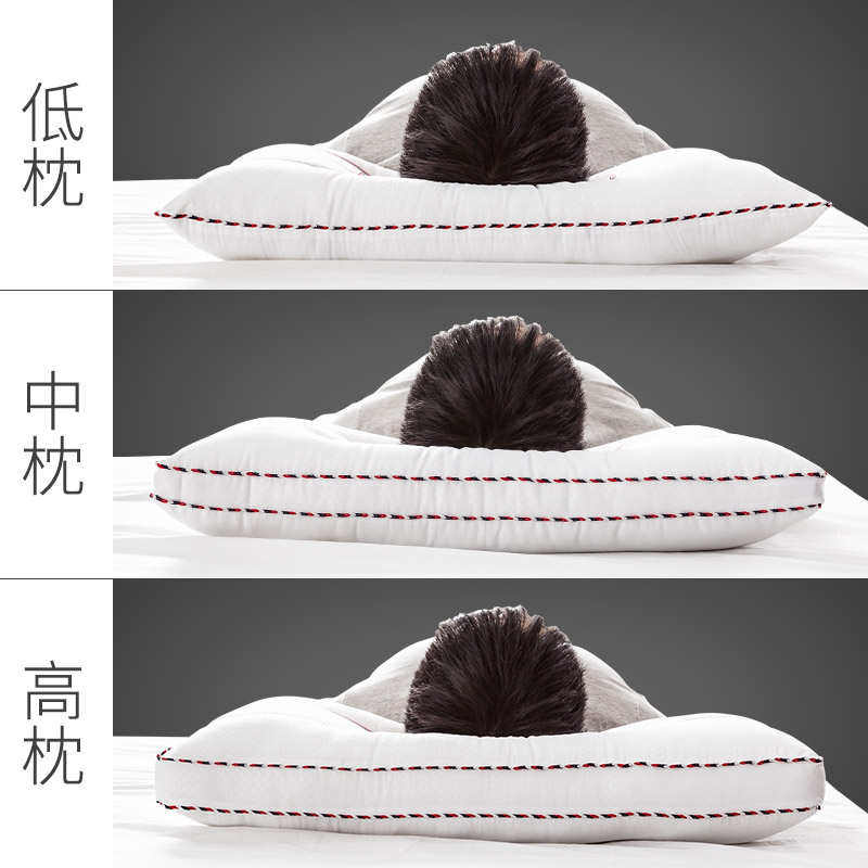 决明子枕头双人枕芯一对装低颈椎家用护助套装单人枕套枕睡眠带硬