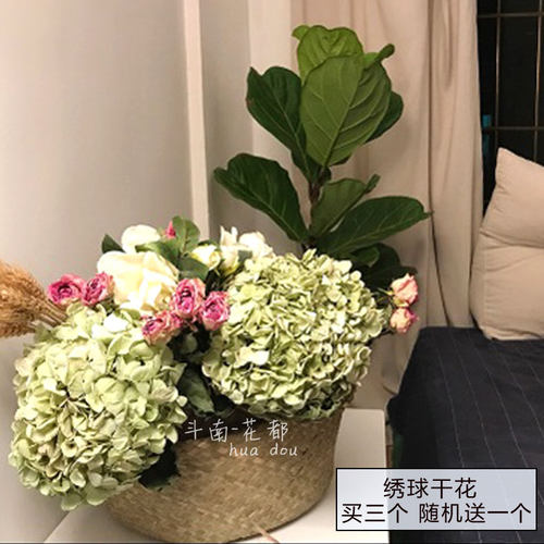 绣球花干花 diy花环壁挂饰品吊顶装饰 复古花瓶摆设 云南直发包邮