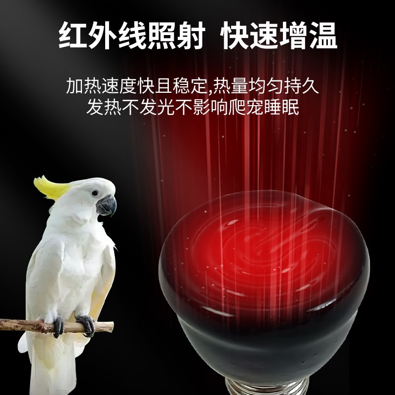 鹦鹉陶瓷加热灯取暖灯灯罩玄凤保暖芦丁鸡鸟笼专用过冬无光保温灯