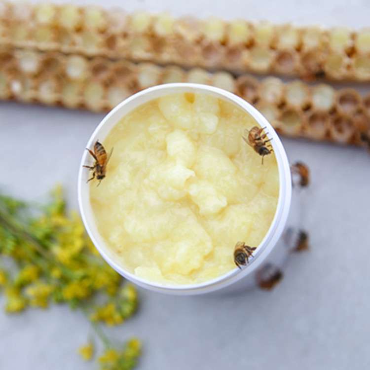 纯蜂王浆 活性鲜蜂皇浆500g 蜂场直供油菜春浆