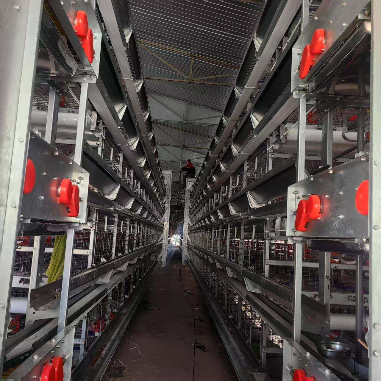 厂家生产养鸡设备鸡笼子鸡场EPC工程