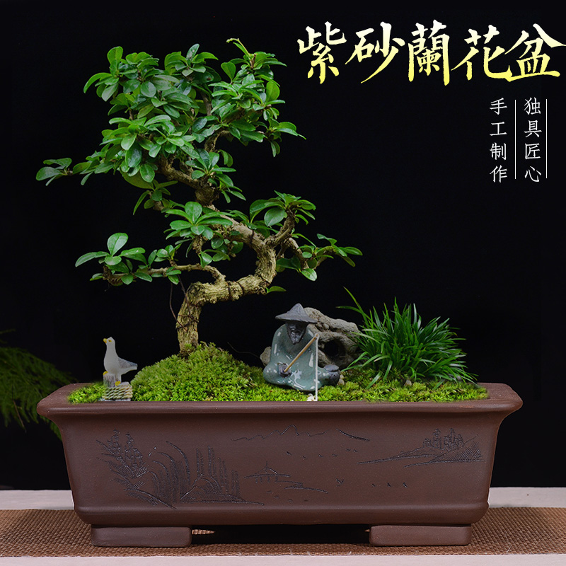 特大号紫砂花盆长方形盆景盆马槽盆室内阳台花卉盆假山造景陶瓷盆