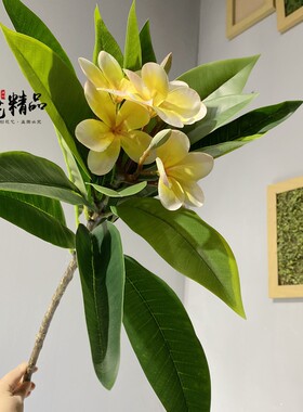 鸡蛋花树枝鸡旦花仿真花软装插花素材大树装饰品陈列家居摆放花艺