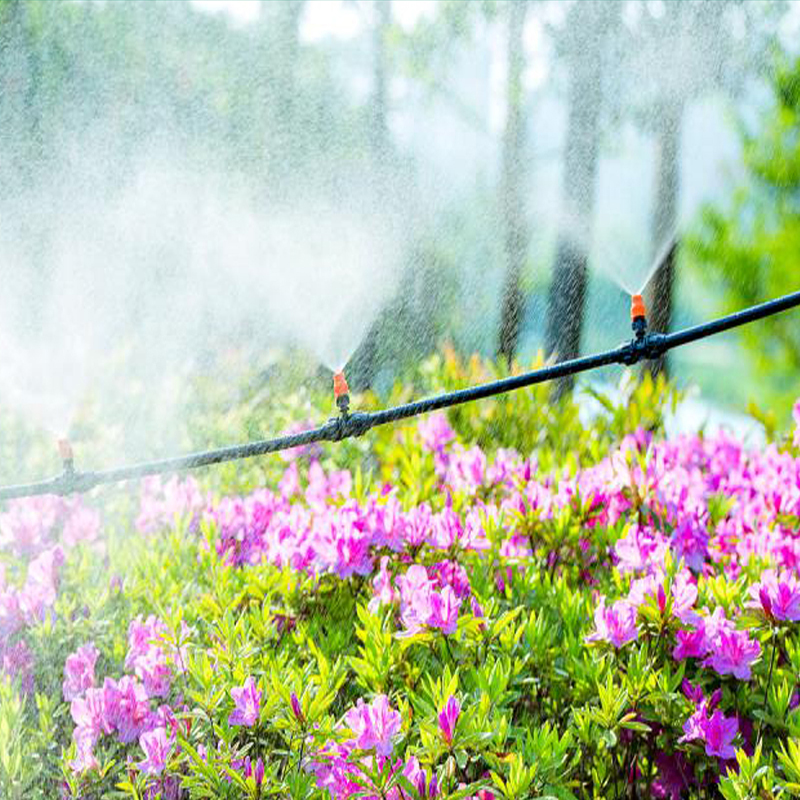 水泵定时雾化微喷头自动浇花器细雾降温喷淋系统自动灌溉浇水器