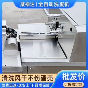 鸡蛋洗蛋机养殖场蛋类清洗设备清洗干净不破损洗鸡蛋机器